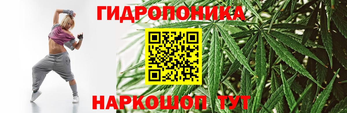 Канабис OG Kush Новозыбков